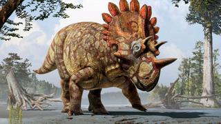 Descubren nueva especie de dinosaurio de 70 millones de años