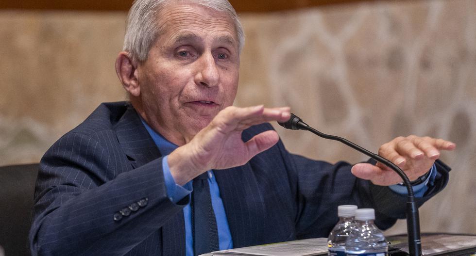 Anthony Fauci: America’s chief epidemiologist will retire before 2024
