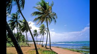 Sedes de Brasil 2014: conoce los principales atractivos de Salvador de Bahía [FOTOS]