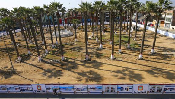 Reanudan obras en plaza de Chincha: reubicarán 12 palmeras