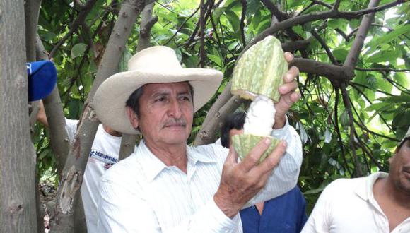 Cacao de Piura y Tumbes seleccionado entre 50 mejores del mundo