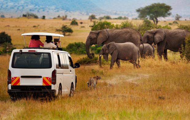 viaje safari africa precio