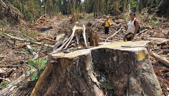 El poco uso y mucho abuso de los bosques en el Perú