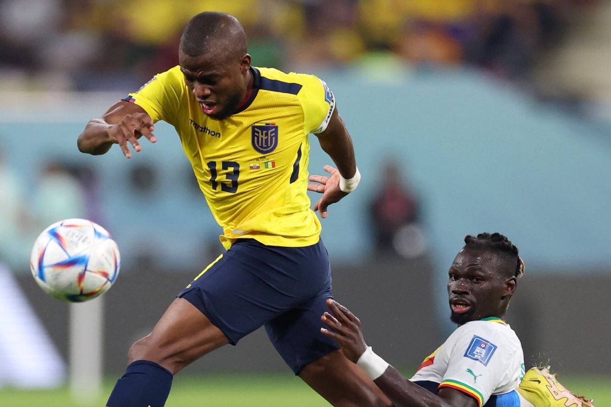 Ver El Canal del Fútbol en vivo: partido, Ecuador vs. Senegal