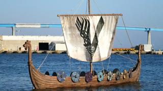 Noruega: 400 objetos vikingos fueron robados de un museo