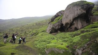 Lomas de Mangomarca: un nuevo destino para hacer trekking en Lima | FOTOS