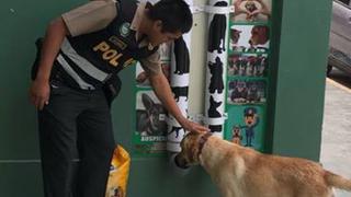 Comisaría instala dispensadores de agua y comida para perros callejeros