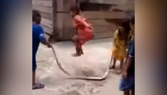 Así es como estos niños se pusieron a jugar con el cuerpo de una serpiente y todo quedó grabado en un video de YouTube que se hizo viral. (Live Leak)