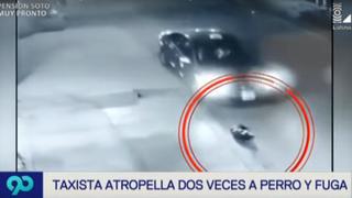 San Juan de Miraflores: taxista atropella hasta 3 veces a perro