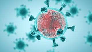 Lo que sabe la ciencia sobre la variante brasileña del coronavirus