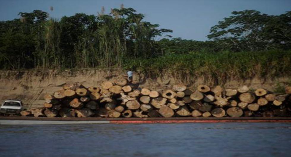 Terrible panorama de la deforestación (Crédito: Hugo Alejos)