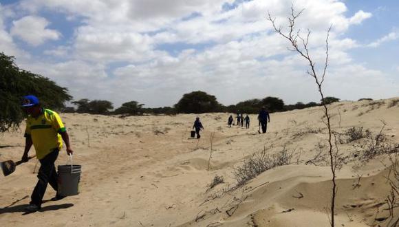 Piura: reforestan bosque seco con mil plantones de algarrobo