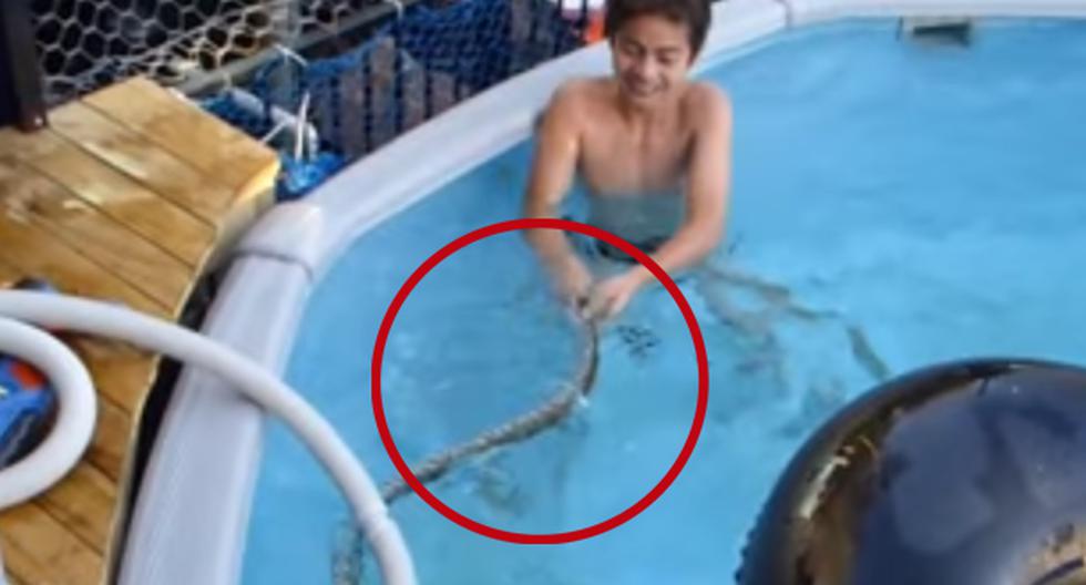 Esta grabación colocada en YouTube nos mostrará el poco cuidado de estos niños al estar jugando en una piscina con una serpiente asesina. (Foto: captura)