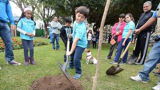 Familias de Miraflores plantan y adoptan árboles