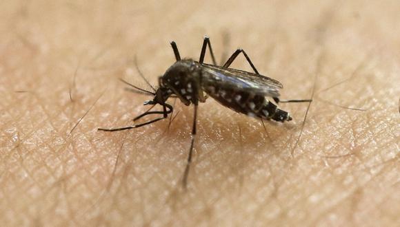 Zika: hallan virus en el semen tras período récord de 93 días