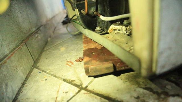 San Isidro: hallan insectos en restaurantes de este distrito - 4