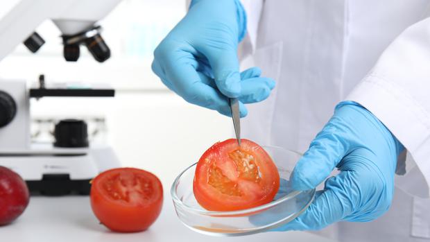 It is suggested that the tomato be washed and peeled before being consumed.