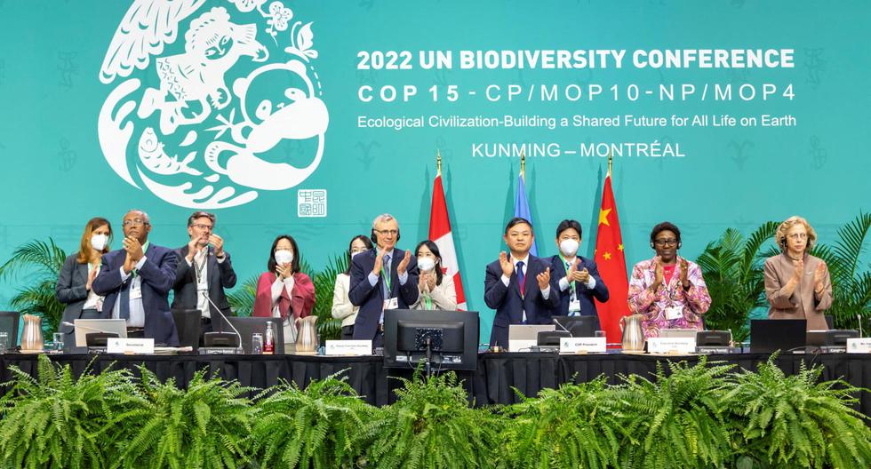 COP15: The 10 main objectives of the global agreement on biodiversity of the UN