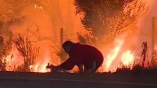 Hombre salva a un conejo de gigantesco incendio en California