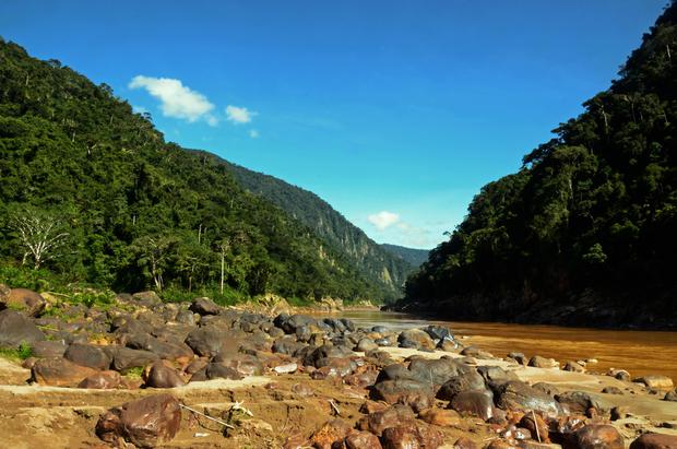 La Reserva Pilón Lajas es otra de las áreas protegidas amenazada por la minería. Foto: Archivo Mongabay Latam.