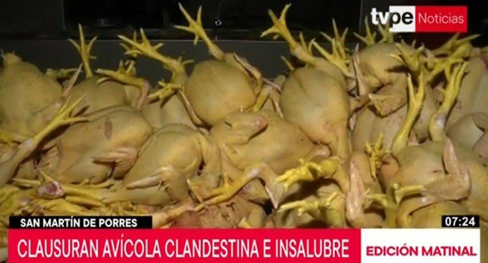 Las avícolas intervenidas no tenían licencia de funcionamiento ni certificado de Defensa Civil. (TV Perú)