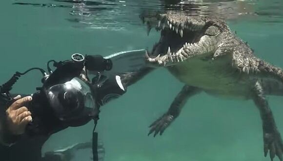 Temible cocodrilo demuestra ser el más amigable del mundo al nadar con buzos y dejarse tomar fotos hasta grabarse. (Foto: Captura YouTube)