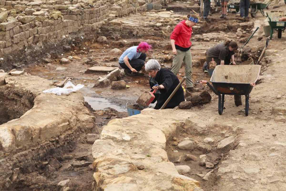 China: descubren intactos huevos de 500 años de antigüedad en la provincia suorccidental de Sichuan
 | Foto: Referencial/Shutterstock