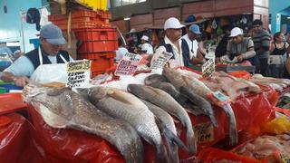Semana Santa: Conoce el precio de los pescados en terminales pesqueros