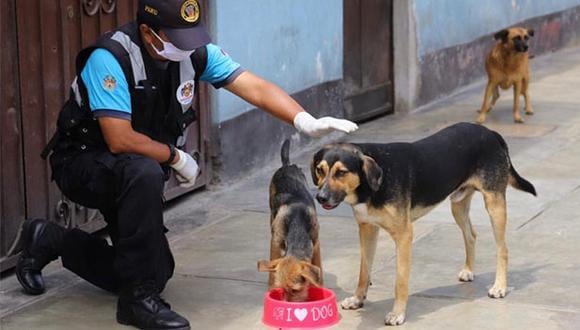 El segundo vicepresidente del Congreso, Luis Roel Alva, indicó que la ley ayudará a “frenar el abandono de perros y gatos y que terminan en las calles sometidos a todo tipo de maltratos”. (Foto: Municipalidad de Magdalena)