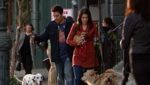 Al comienzo de “How I Met Your Mother”, Robin Scherbatsky era amante de los perros, prueba de ello es que tenía cinco mascotas (Foto: CBS)