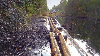 Derrame de petróleo: “Un año demorará restaurar flora y fauna”