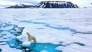 La "bomba de carbono", las enfermedades y venenos que el derretimiento del hielo del Ártico está causando