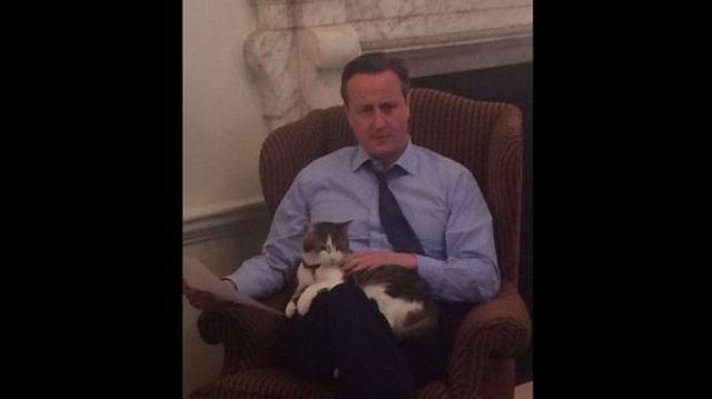 Reino Unido: David Cameron se muda, pero el gato Larry se queda - 2