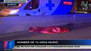 Anciano murió arrollado al intentar cruzar la Panamericana Sur