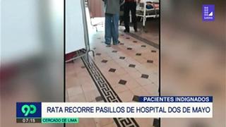 Susalud: investigarán hospitales por presencia de roedores