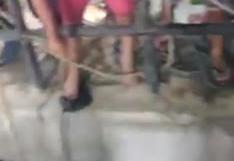 Ica: tres civiles y un agente PNP fallecieron asfixiados tras caer a cámara de rebombeo de desagüe | VIDEOS