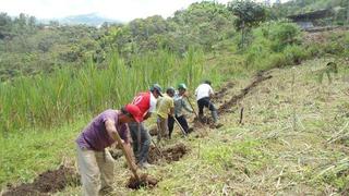Piura perdió el 31% de bosques por la agricultura migratoria