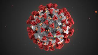 Todos los tipos de coronavirus que afectan a los humanos y sus diferencias | FOTOS