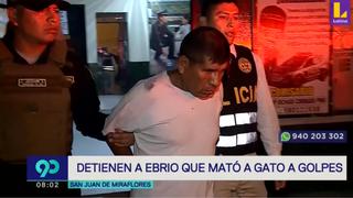 San Juan de Miraflores: detienen a sujeto que mató a un indefenso gato a golpes | VIDEO 