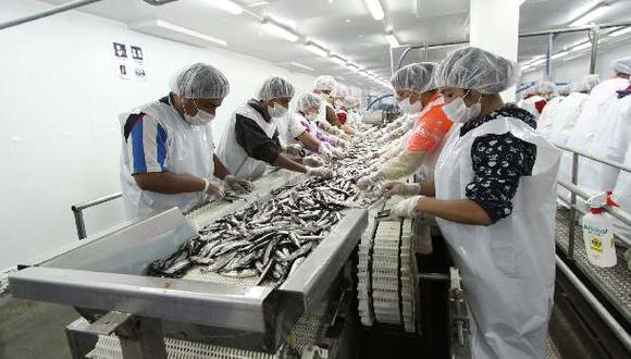 Produce: cantidad de anchoveta aumentó 37% frente a promedio