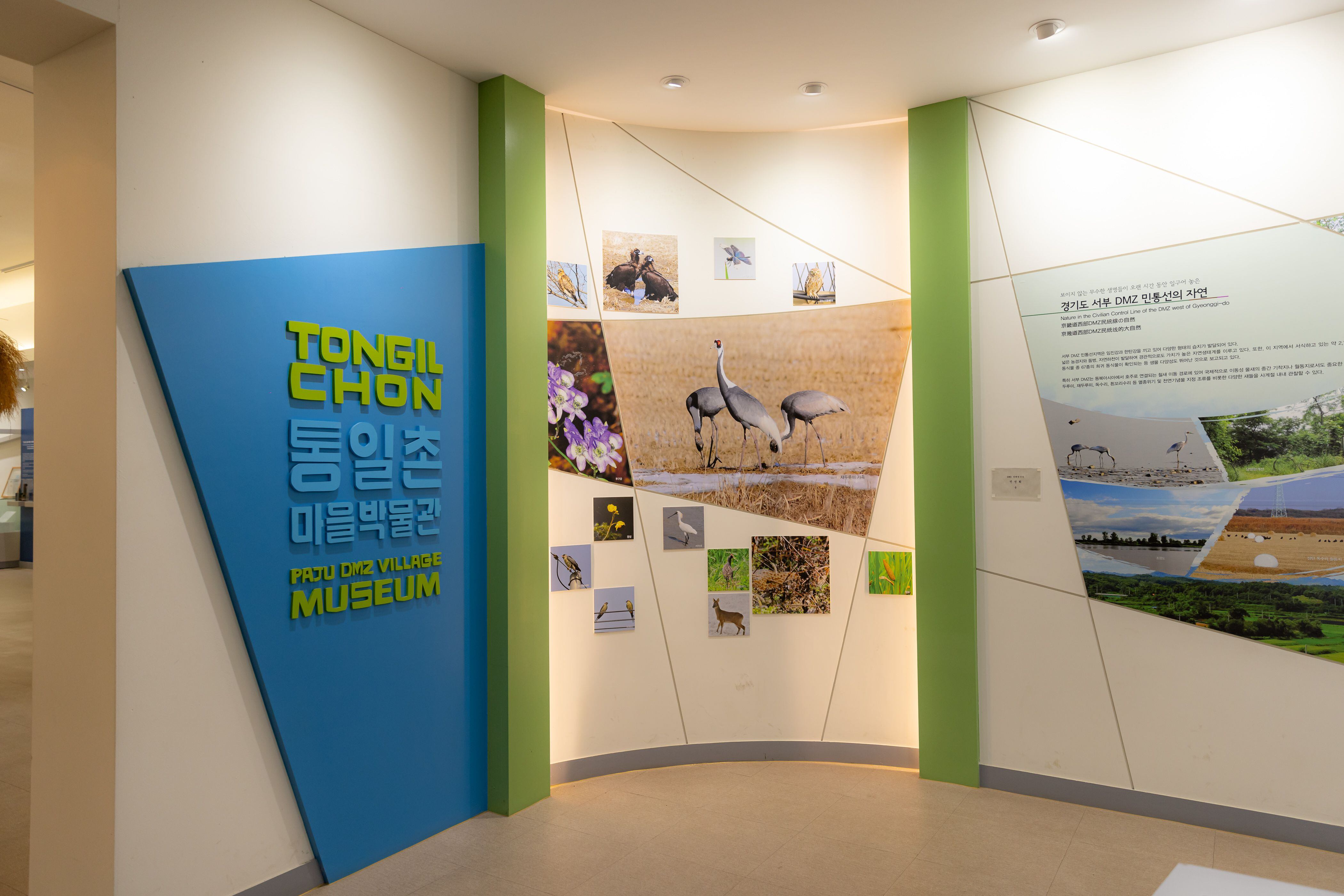 The Tong-il Village Museum com.  (Photo: Korean Culture and Information Service -KOCIS)