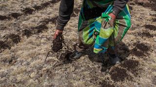 Predictamen de ley agraria se vota hoy: Empresas y trabajadores en desacuerdo con el texto