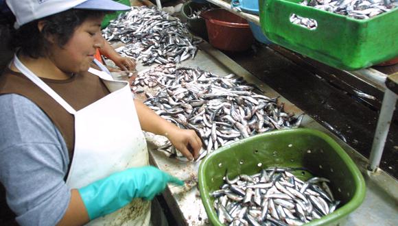 Los principales destinos de pesca para consumo humano fueron China y Estados Unidos. (Foto: GEC)