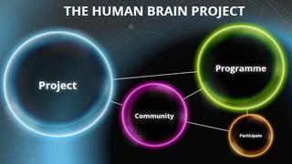 Científicos europeos critican proyecto sobre el cerebro