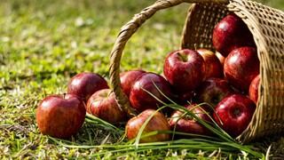 Manzana: ¿cuáles son sus propiedades y valor nutricional? 