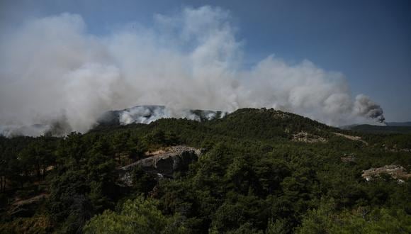 Se ve humo saliendo del bosque de Dadia, una de las áreas más importantes de Europa para las aves rapaces, mientras arden los incendios forestales, en Dadia, cerca de Alexandroupoli, al norte de Grecia. (Foto de Sakis MITROLIDIS / AFP)