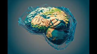 Cerebro: La llegada de nuevos sentidos