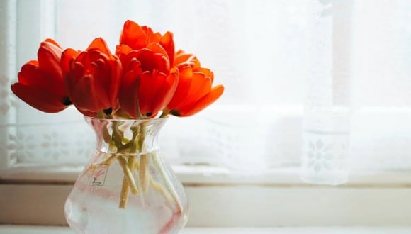 En la foto se puede apreciar un florero con agua. | Imagen referencial: Pexels