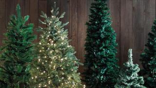 Viral: la sorpresa que se dio una mujer que compró un ‘frondoso’ árbol de Navidad por Internet