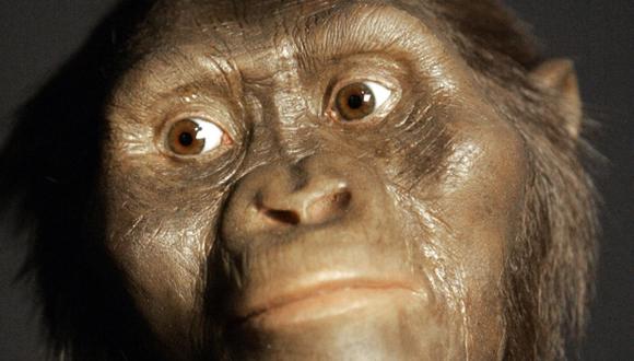 Lucy fue descubierta en 1974 por investigadores estadounidenses y franceses en la regi&oacute;n de Afar, en Etiop&iacute;a. Pertenece a la especie &lsquo;Australopithecus afarensis&rsquo;. Se encontr&oacute; casi el 40% de su esqueleto. (Foto: AP)
